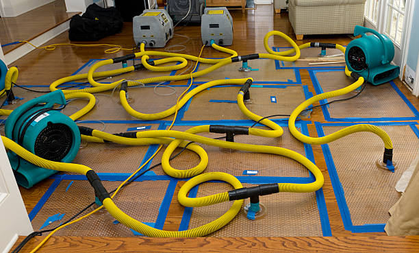 Professional Storm Water Damage Restoration technician working in Holly Springs, MS