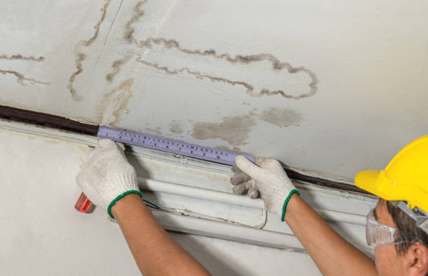 Affordable Water Damage Repair solutions in Holly Springs, MS